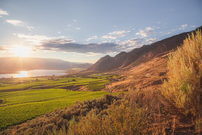 Osoyoos Half Day Wine Tour (Incl. Tasting Fees & Guide Gratuity!) - What the four-hour format really gives you