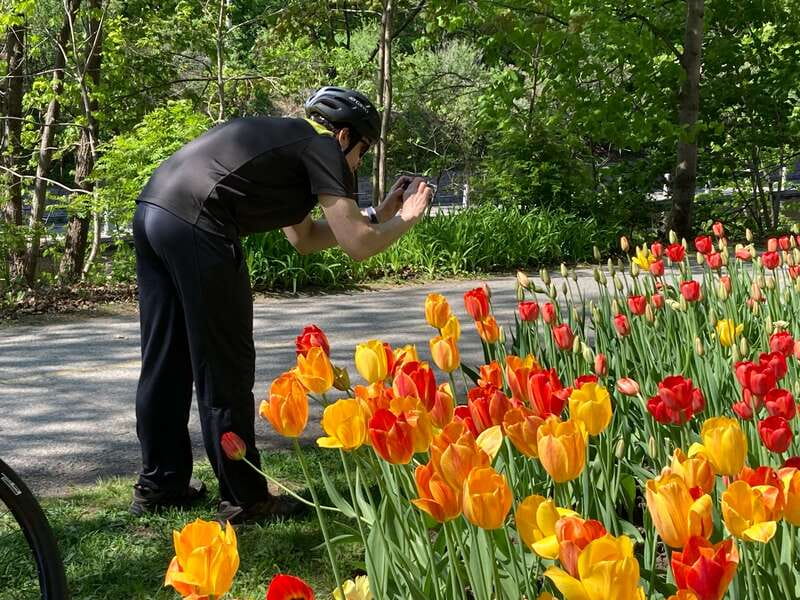 Ottawa: 2 or 3.5-Hour Guided Bike Tour with a Local Guide - Booking, timing, and small practical details