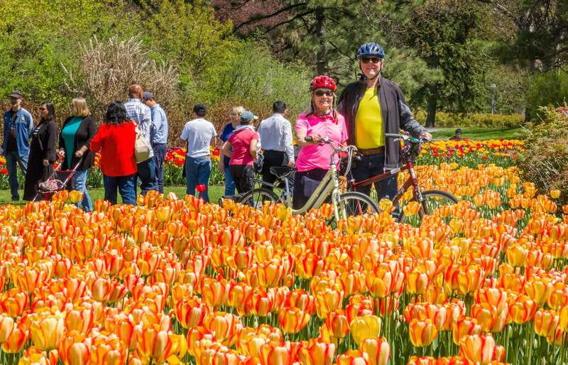 Ottawa: 2 or 3.5-Hour Guided Bike Tour with a Local Guide - The 2-hour ride: a useful first look at the capital
