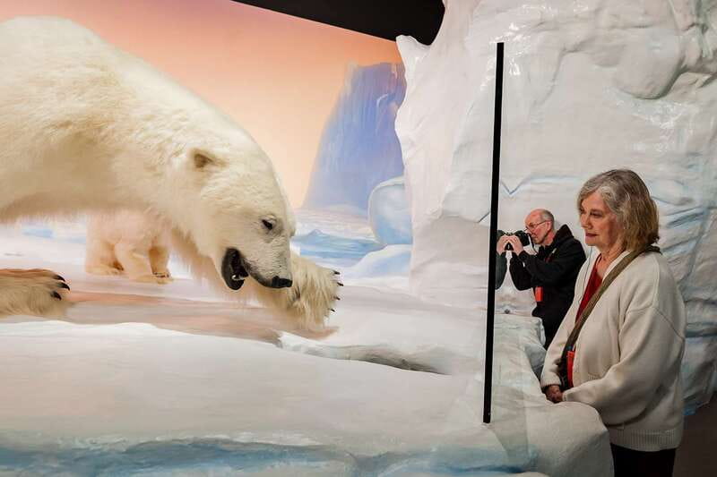 Ottawa: Canadian Museum of Nature Admission - Key points to know before you go