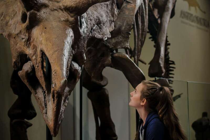 Ottawa: Canadian Museum of Nature Admission - My verdict: book it if you want more than a quick stop