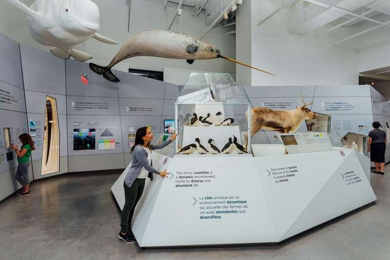 Ottawa: Canadian Museum of Nature Admission - Arriving at Ottawa’s old Parliament building