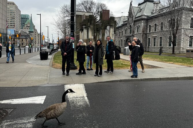 Ottawa City Highlights 3 Hour Walking Tour | Gratuity-Based - The Rideau Canal in every season
