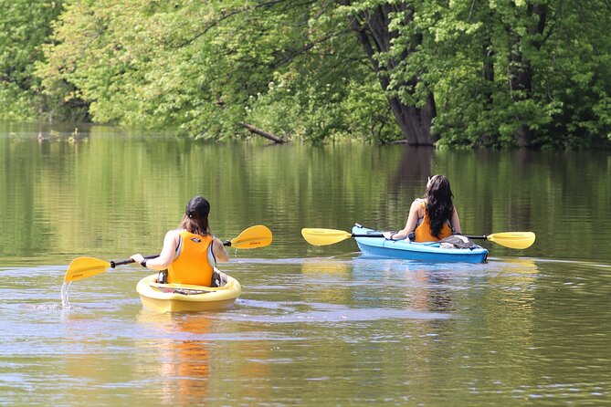 Ottawa: Ecological Reserve Kayak Tour with Turtle Sightings - Quick take: what makes this kayak trip special