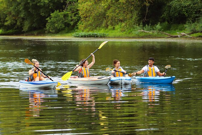 Ottawa: Ecological Reserve Kayak Tour with Turtle Sightings - Why Petrie Island makes a good Ottawa escape