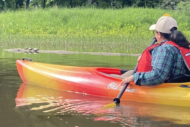 Ottawa: Ecological Reserve Kayak Tour with Turtle Sightings - Turtle spotting and the value of a good guide