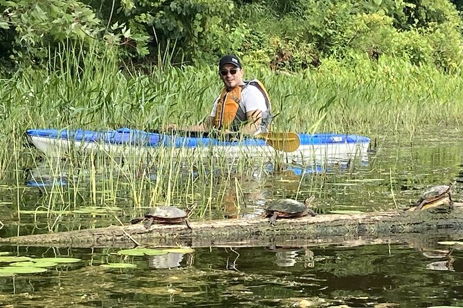 Ottawa: Ecological Reserve Kayak Tour with Turtle Sightings - What to wear and pack for a dry, comfortable outing