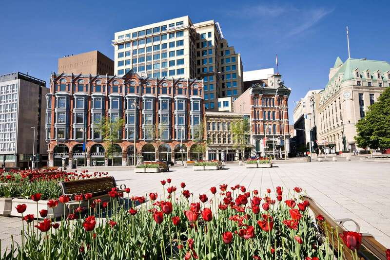 Ottawa: Hop-On Hop-Off Guided City Tour Pass - Museums and galleries without the long walk