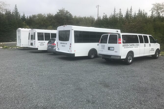 Peggy’s Cove & Halifax Historic Tour - Bus comfort, group size, and the real pace