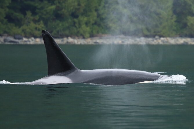 People Water Land- Indigenous Cultural and Wildlife Tour - Considering the $269.83 price