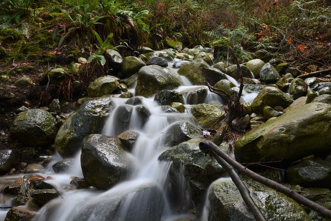 Photography, Gondola & Snowshoeing - Sea to Sky Gondola and Shannon Falls