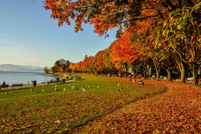 Photography & Hiking in Nature - Stanley Park mixes Indigenous art with seawall views