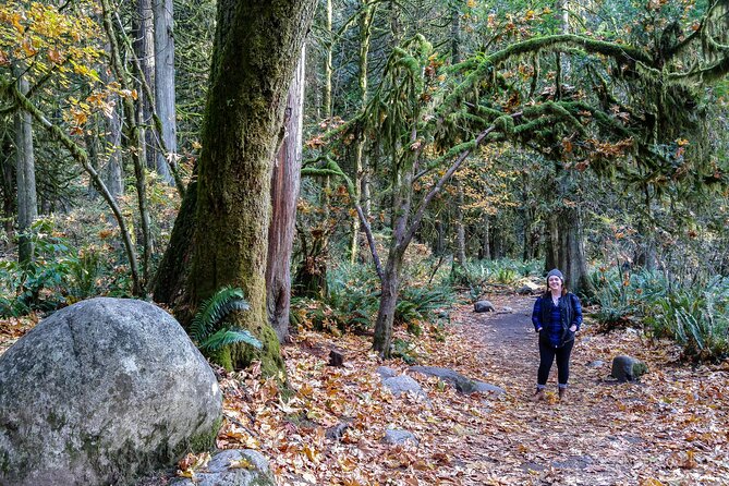 Photography in Rainforest & Suspension Bridge - Price, pace, and what you receive