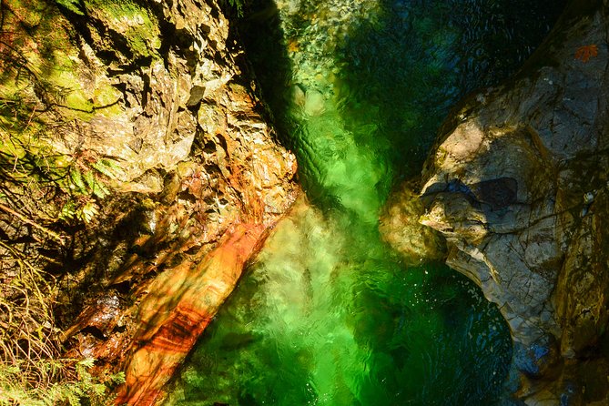 Photography in Rainforest & Suspension Bridge - Entering Lynn Canyon’s old-growth forest