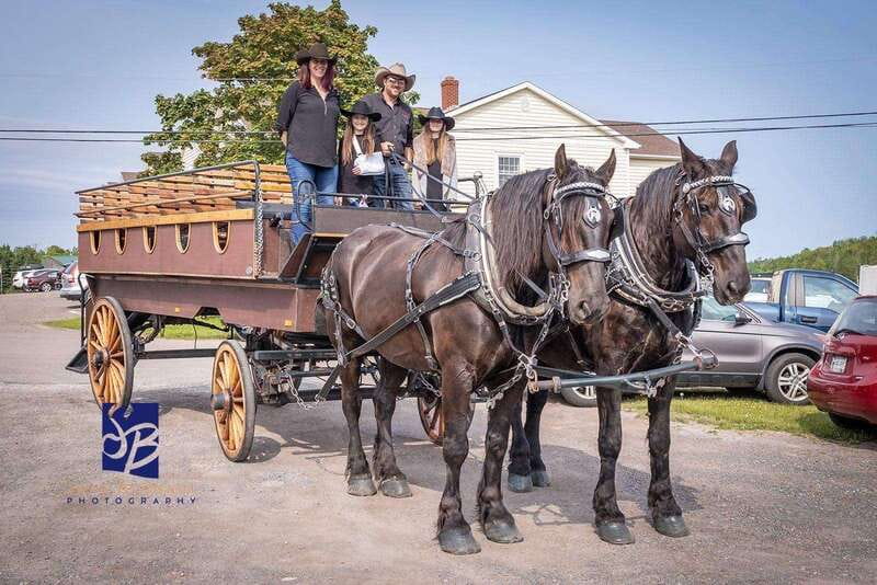 Prince Edward Island: Horse-Drawn Carriage Tour - Key points to know before you go