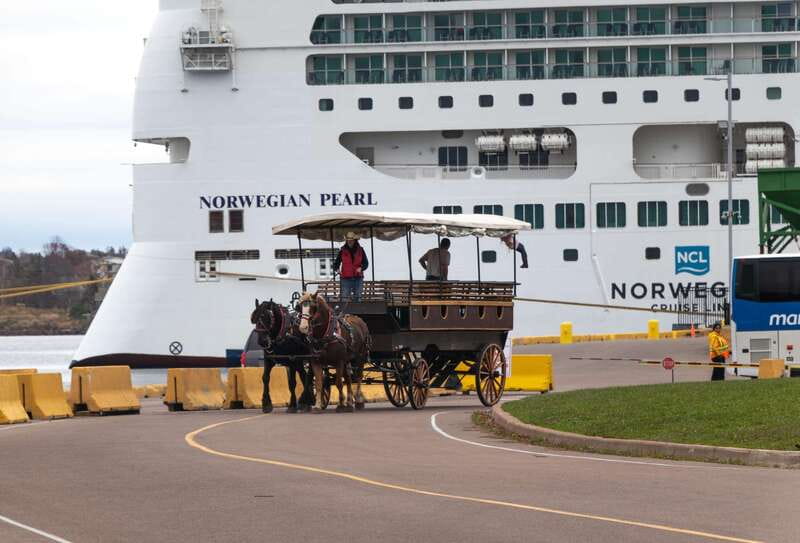 Prince Edward Island: Horse-Drawn Carriage Tour - A gentle introduction to Charlottetown