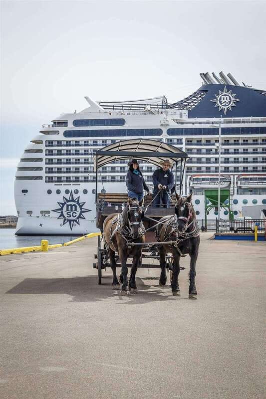 Prince Edward Island: Horse-Drawn Carriage Tour - What $23 buys you