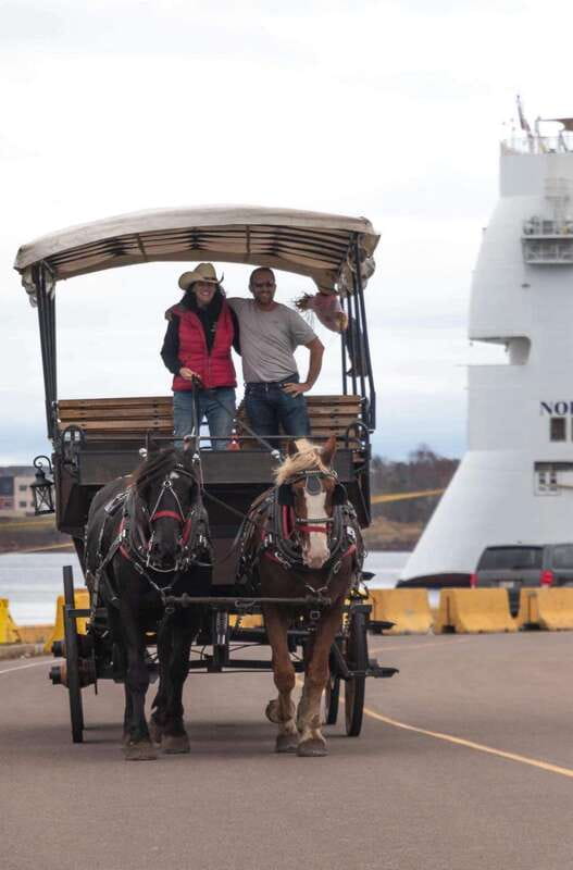 Prince Edward Island: Horse-Drawn Carriage Tour - The best fit for different types of visitors