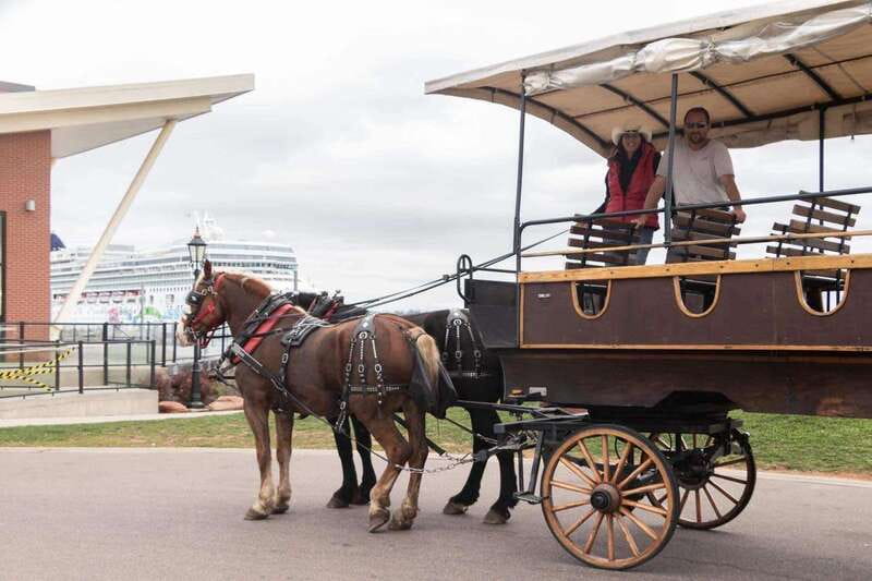Prince Edward Island: Horse-Drawn Carriage Tour - Practical details that make the ride better