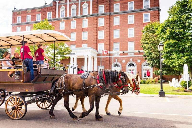 Prince Edward Island: Horse-Drawn Carriage Tour - Why the guides matter