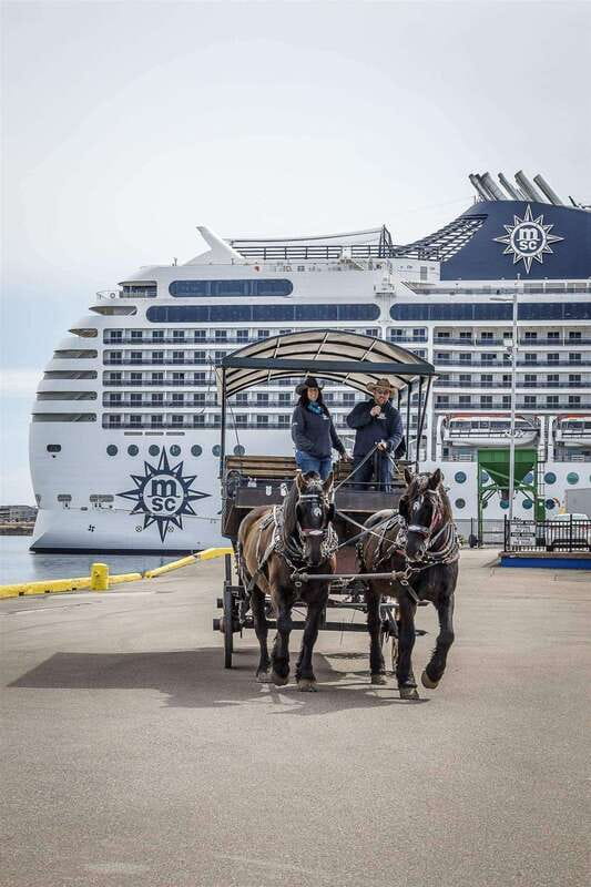 Prince Edward Island: Horse-Drawn Carriage Tour - What you learn from the guide