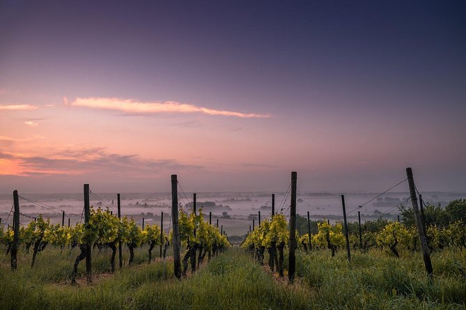Private Customizable Wine-Tasting Adventure/Day Tour Niagara - Free time in Niagara-on-the-Lake Heritage District