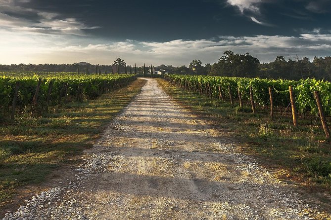 Private Customizable Wine-Tasting Adventure/Day Tour Niagara - Choosing wineries without feeling rushed