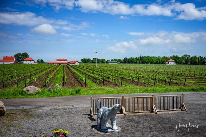 Private Customizable Wine-Tasting Adventure/Day Tour Niagara - Tasting fees, lunch, and the real price