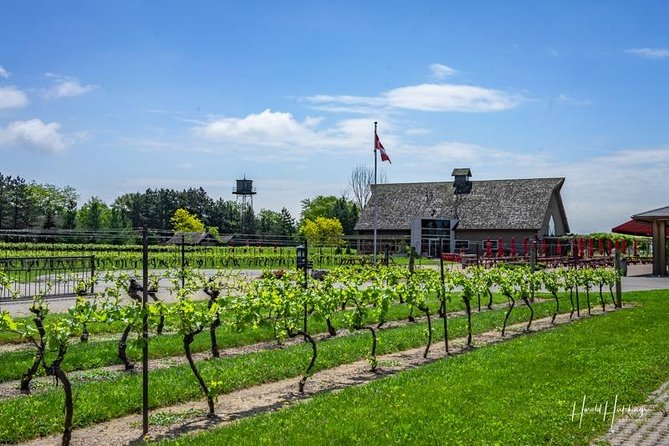 Private Customizable Wine-Tasting Adventure/Day Tour Niagara - What the guides add to the day