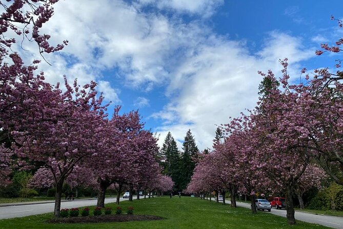 Private Guided Grand City Tour in Vancouver with your luggage - Horseshoe Bay offers a compact village stop