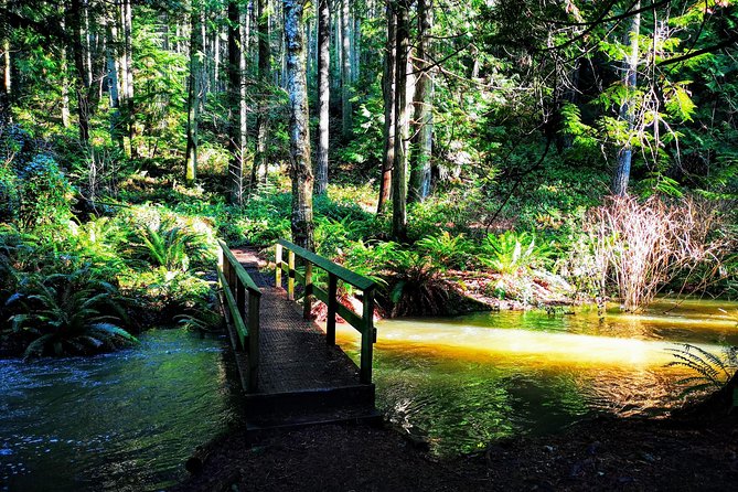 Private Guided Rainforest Hike in Victoria - Adding the coast, seals, and other stops