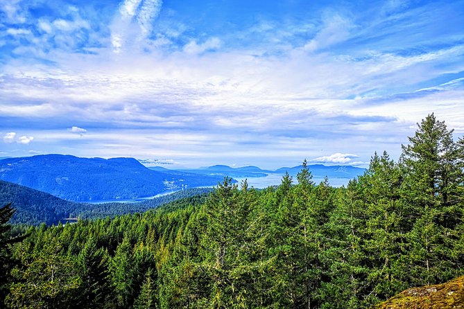 Private Guided Rainforest Hike in Victoria - The guides make the difference
