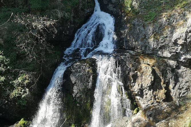 Private Guided Rainforest Hike in Victoria - How much hiking is involved?