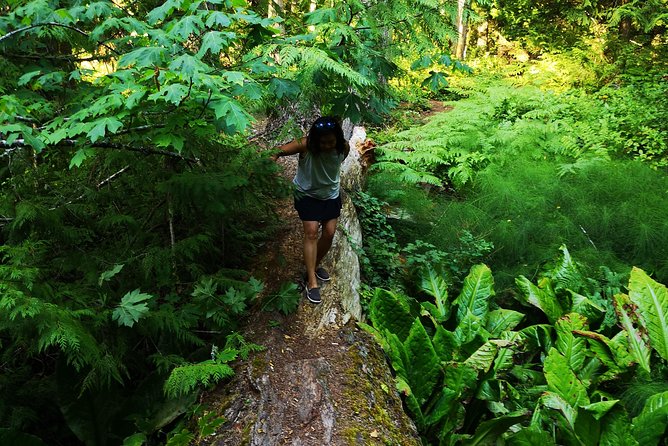 Private Guided Rainforest Hike in Victoria - Your pickup and drive out of Victoria