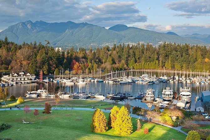 Private Tour: Vancouver Sightseeing and Capilano Suspension Bridge - Chinatown, food shops, and a quick city lesson