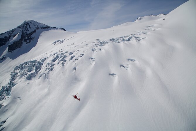 Private Whistler Helicopter Tour + Mountain Landing - Whistler Village and the valley below