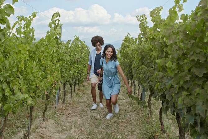 Private Wine Tour in Niagara-on-the-Lake w/ cheese & charcuterie - Choosing your three winery stops