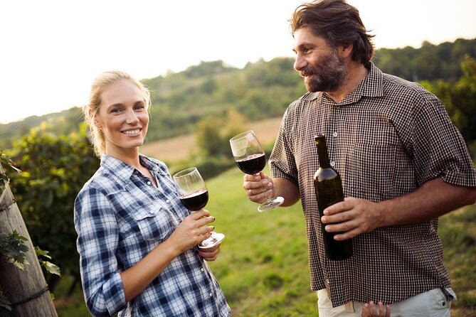 Private Wine Tour in Niagara-on-the-Lake w/ cheese & charcuterie - Your hour in Niagara-on-the-Lake