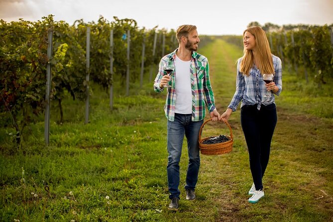 Private Wine Tour in Niagara-on-the-Lake w/ cheese & charcuterie - Pickup, vehicles, and the value of skipping the driving