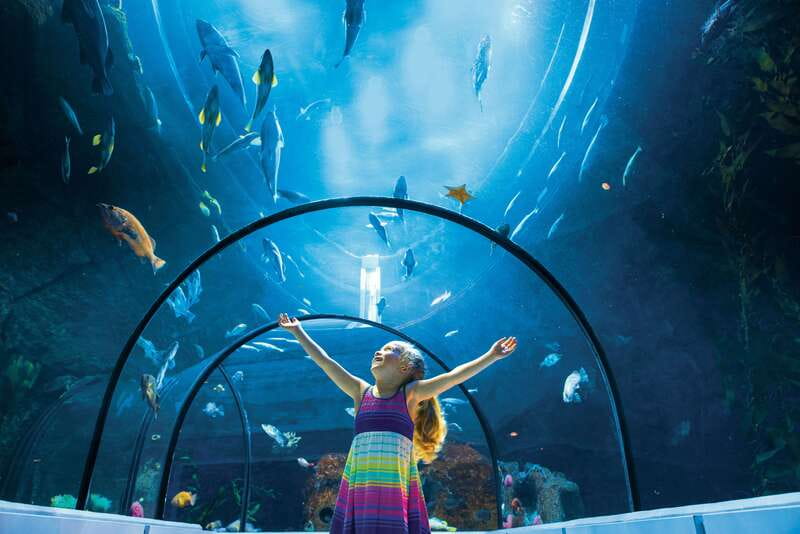 Quebec: Aquarium du Quebec Entry Ticket - Quick takeaways for planning your visit