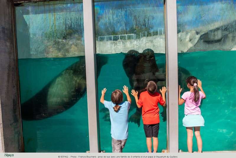 Quebec: Aquarium du Quebec Entry Ticket - What the $19 ticket gives you