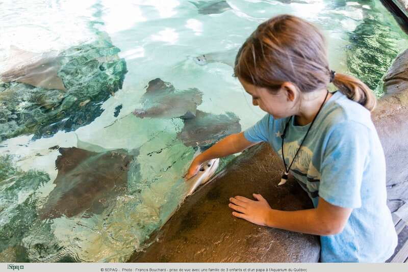 Quebec: Aquarium du Quebec Entry Ticket - Follow the Arctic fox and river paths