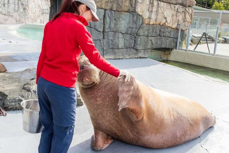 Quebec: Aquarium du Quebec Entry Ticket - Build your day around the animal talks