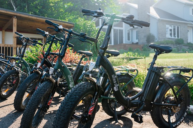 Quebec City - Electric Bike Rental on Ile d'Orléans - Churches, Gardens, and Water Views