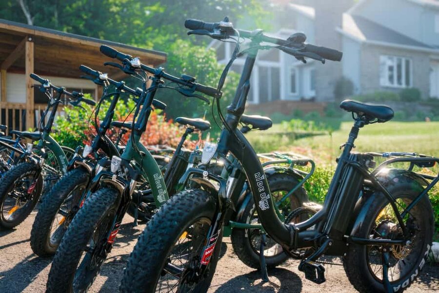 Quebec City: Electric Bike Rental on Ile d'Orléans - Guided help versus going alone
