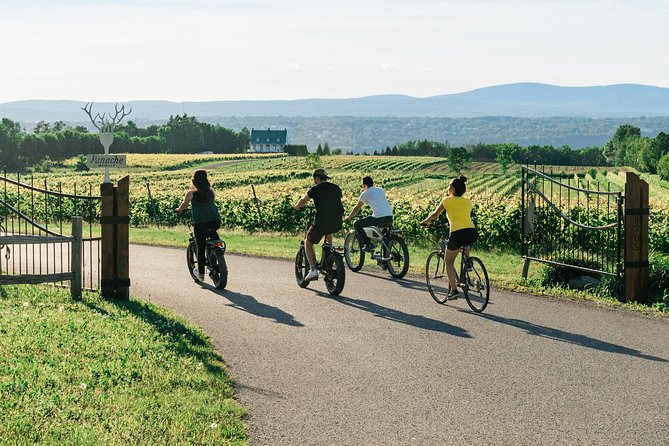 Quebec City - Guided E-Bike Tour & Tastings - Ile d'Orléans - Maple syrup at Ferme Le Bunker