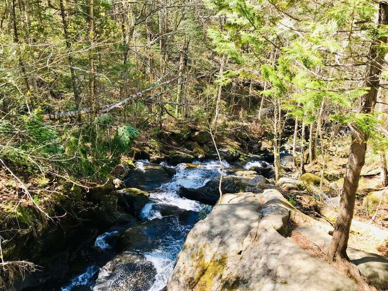Quebec City: Guided Hike in Jacques-Cartier National Park - Timing: a full day with a half-day hike