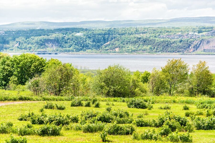 Québec City: Guided Sightseeing River Cruise - Île d’Orléans and the turn toward the falls