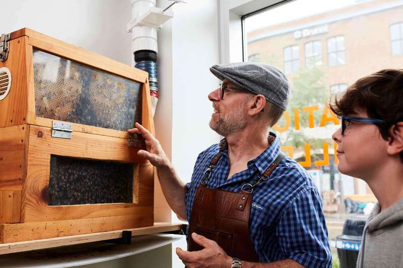 Quebec City: Honey and Distillery Tour with Tasting - Watching bees work behind glass