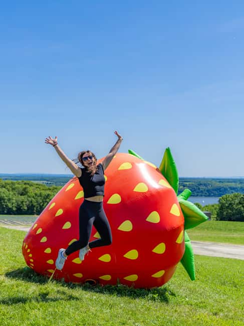 Quebec City: Ile d'Orléans Guided E-Bike Tour with Tastings - Meeting at Quebec Aventure Tours